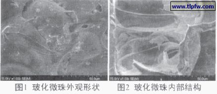 ?；⒅橥庥^形狀及內部結構